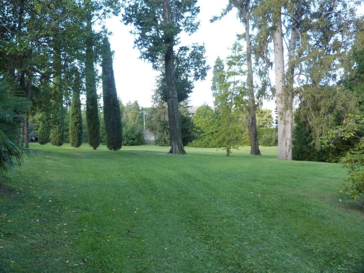 Hermitage Mimosa بورتو فالترافاغليا المظهر الخارجي الصورة