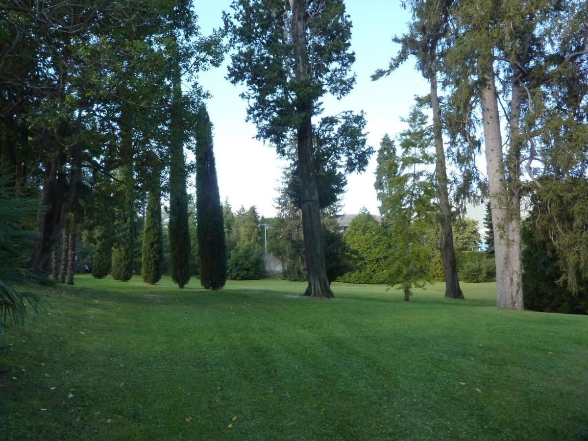 Hermitage Mimosa بورتو فالترافاغليا المظهر الخارجي الصورة